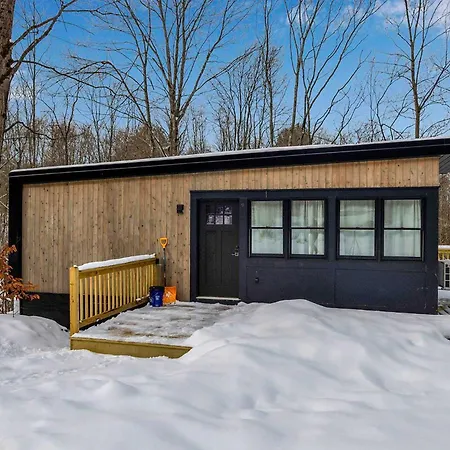 Modern Tiny Home Wraparound Deck